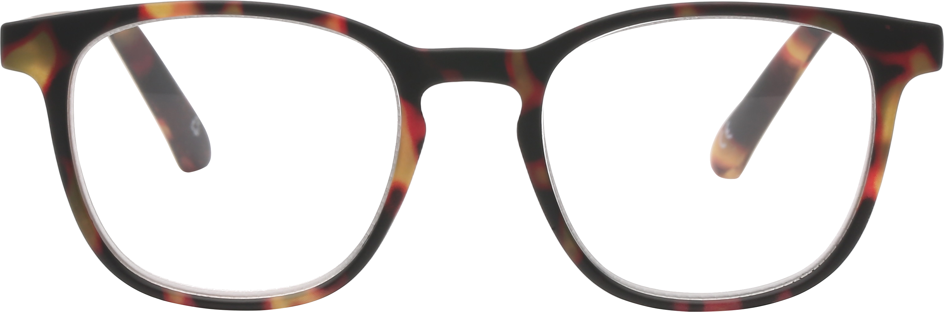 Focus in Brown Tort